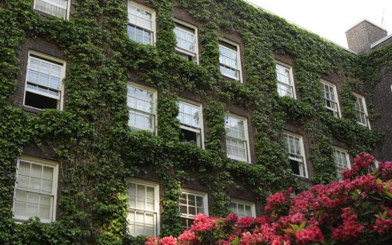A brick building with vines growing along the walls. White window line the building four across and three down. Pink flowers line the photo below.