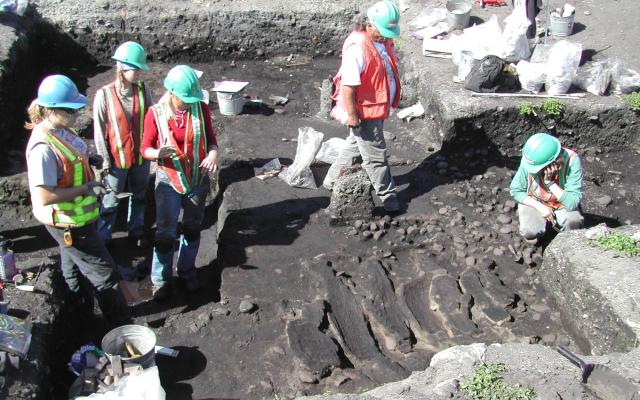 Team of archaeologists examining planks from plank house