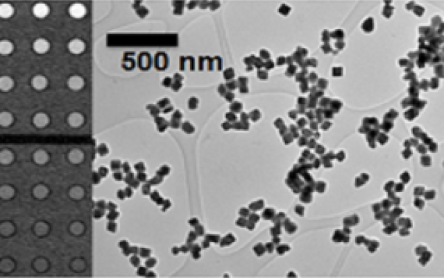 Bismuth nanoparticles are shown via electron microscope. A 500 nm scale bar is on the image.