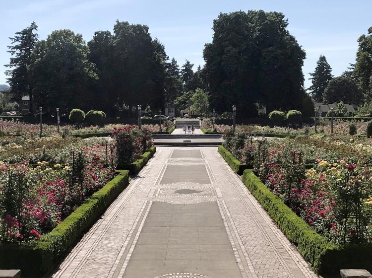 In Portland, one can visit the lovely Peninsula Park Rose Garden.