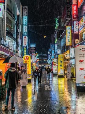 Rainy street in Seoul, South Korea with many illuminated street signs