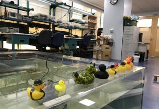NEAR Lab water tank and rubber ducks