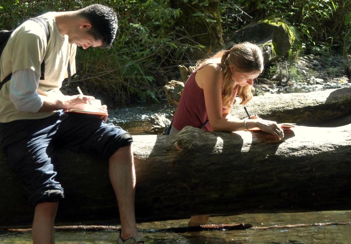 Man and woman sitting on log by stream, writing in notebooks