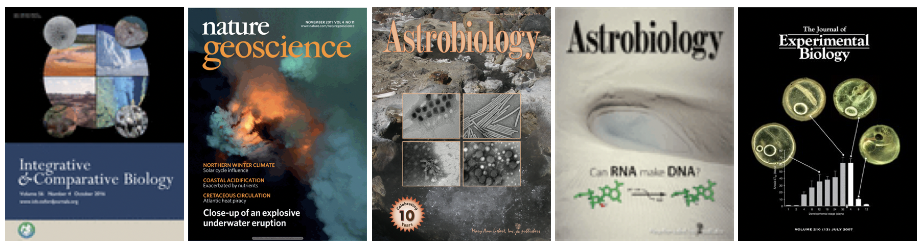 Covers of several publications by CLEE researchers.