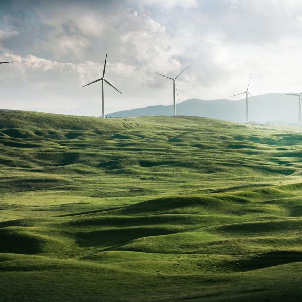 Photograph of wind turbines in a field in Montenegro