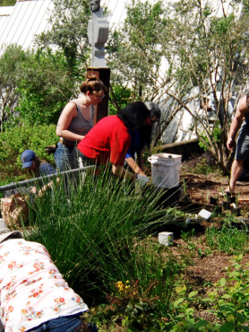 Students engage in traditional ecological healing practices at the NASCC rooftop garden