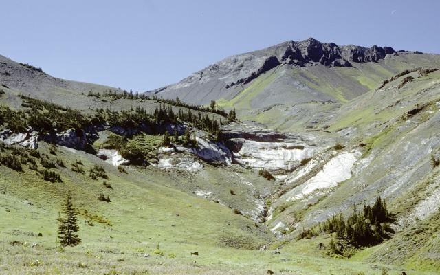 Mountain with meadows, snow patches, and scattered trees.