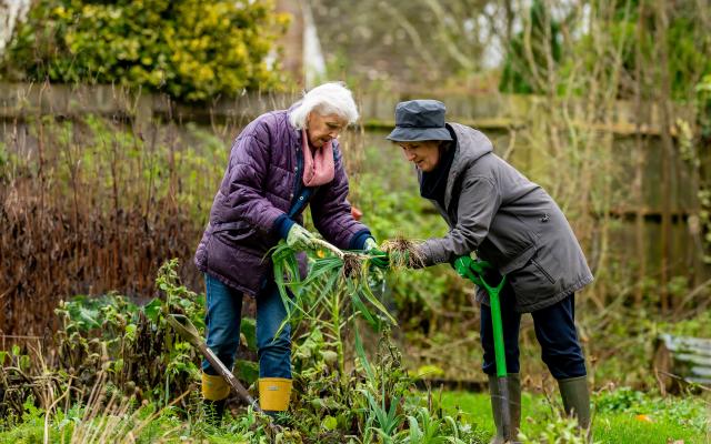 two older adults gardening