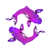 image of two purple koi forming circle