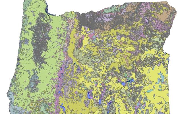 Historical vegetation map for Oregon produced by INR.