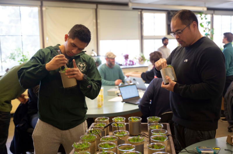 Two students conducting experiment on plants