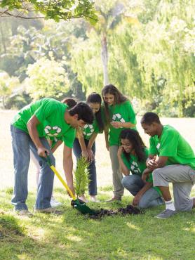 Young people planting a tree