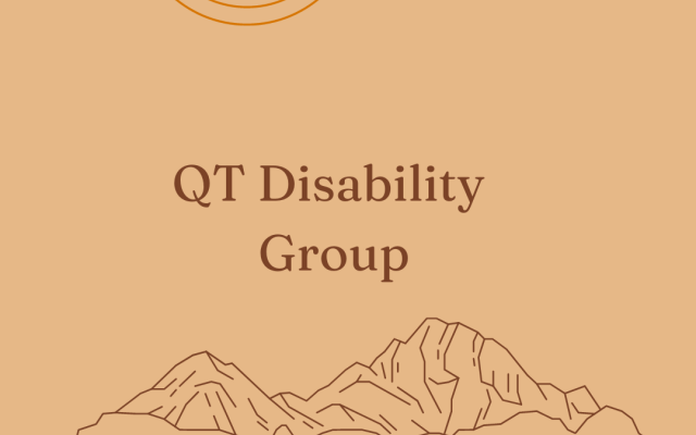 QT Disability Group logo