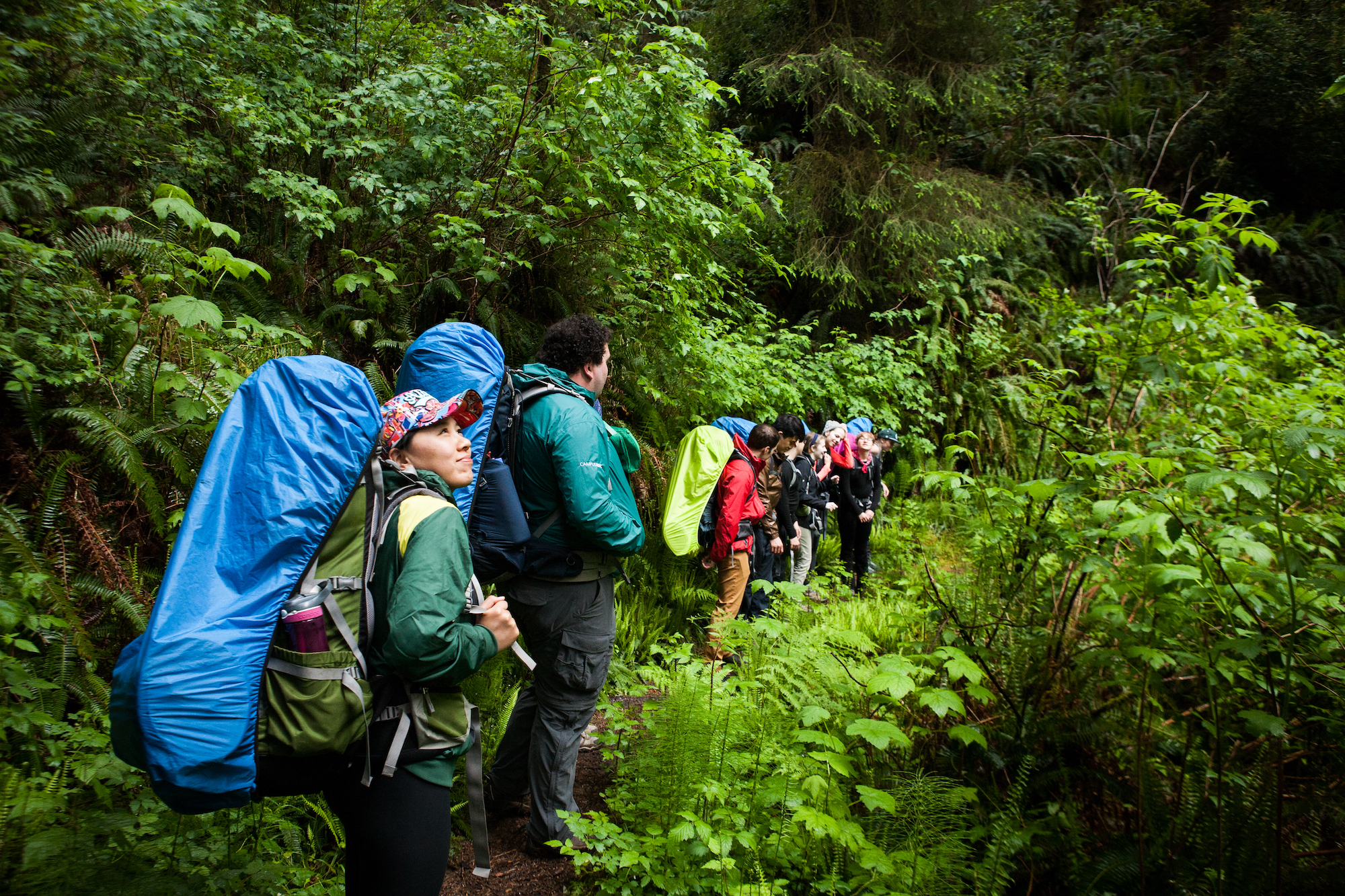 Group of people backpacking in the forest