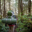 Person backpacking through the forest