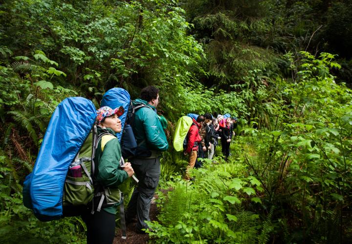 Group of people backpacking in the forest