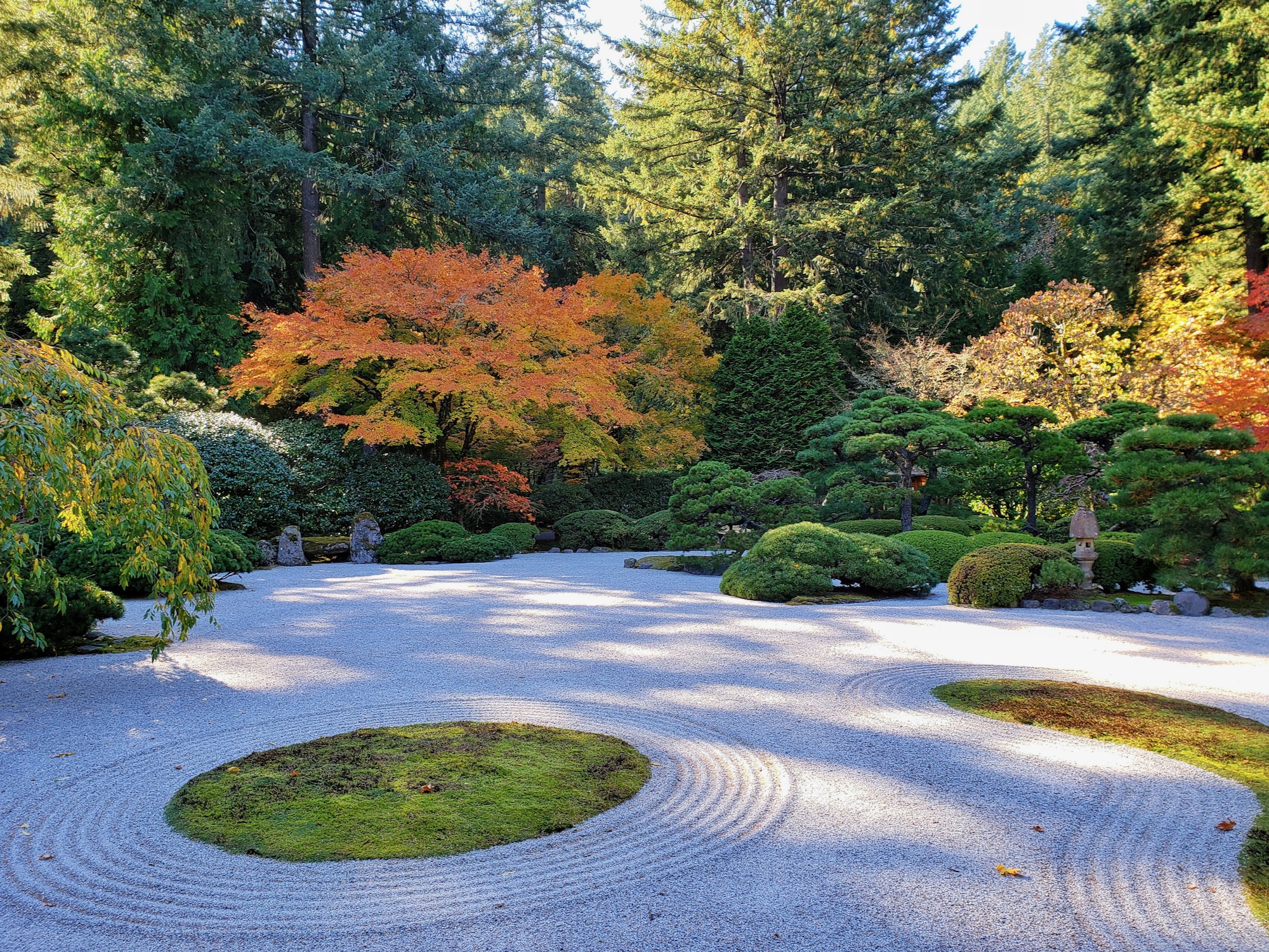 The image is of a landscape at the Portland Japanese Garden. 