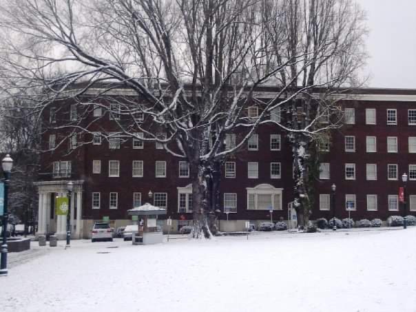 The image is of a snowy building and park.