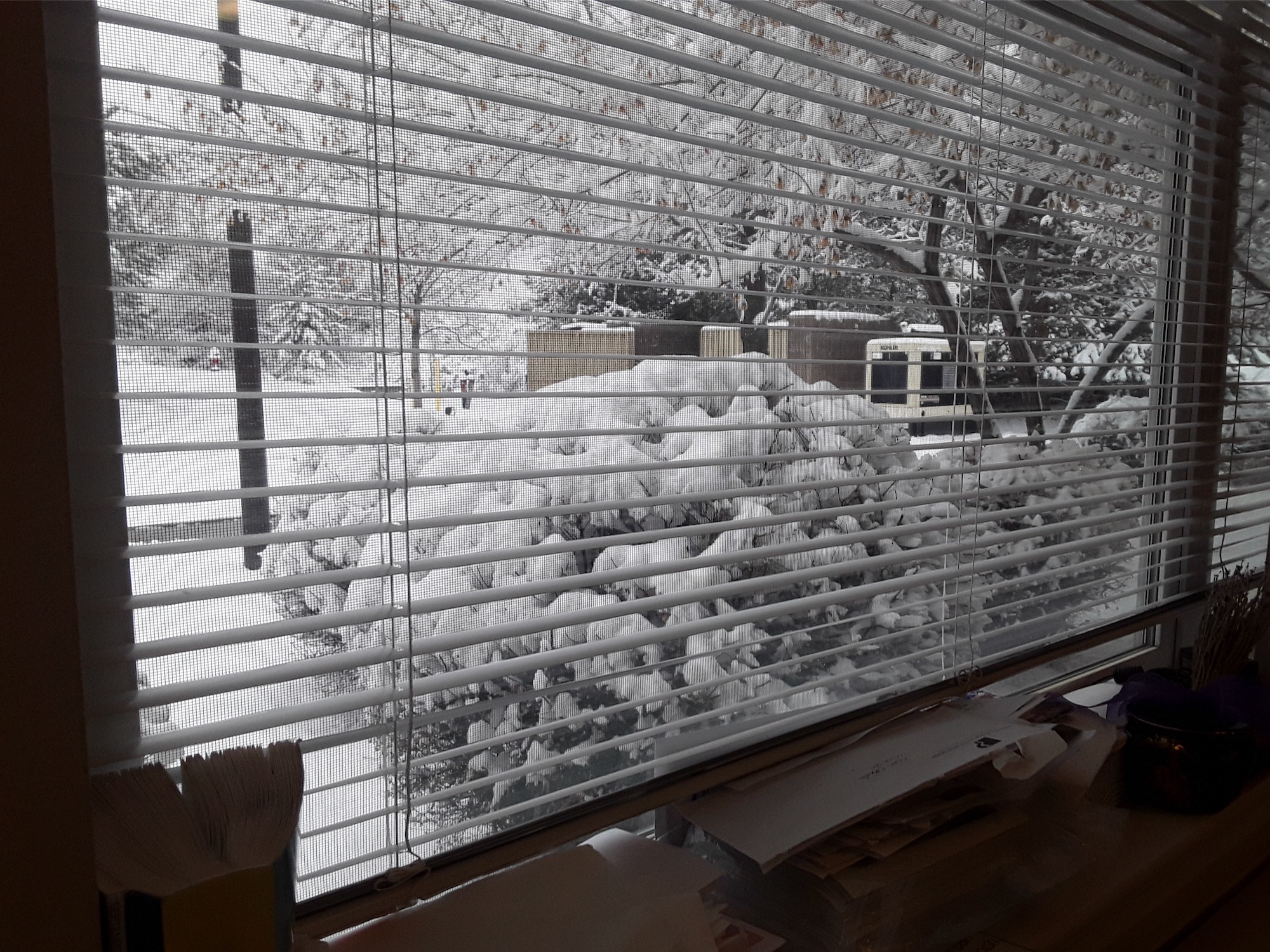 The image is of a window with blinds, there is snow out the window. 