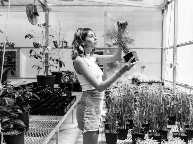 Student inspecting plant