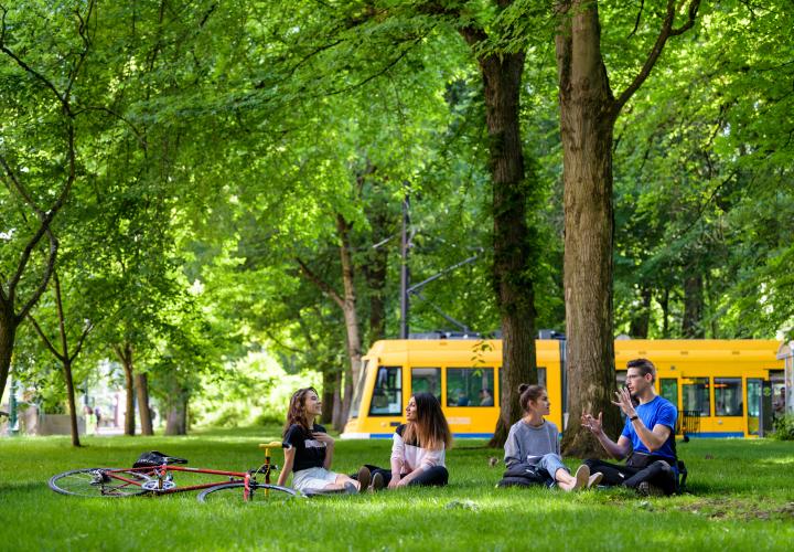 Students sitting in the grass as a yellow Streetcar goes by