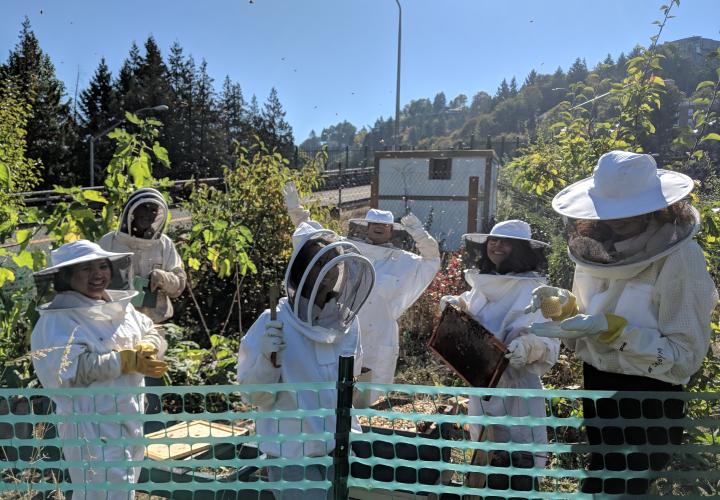 Students work on campus apiary, supporting bees.