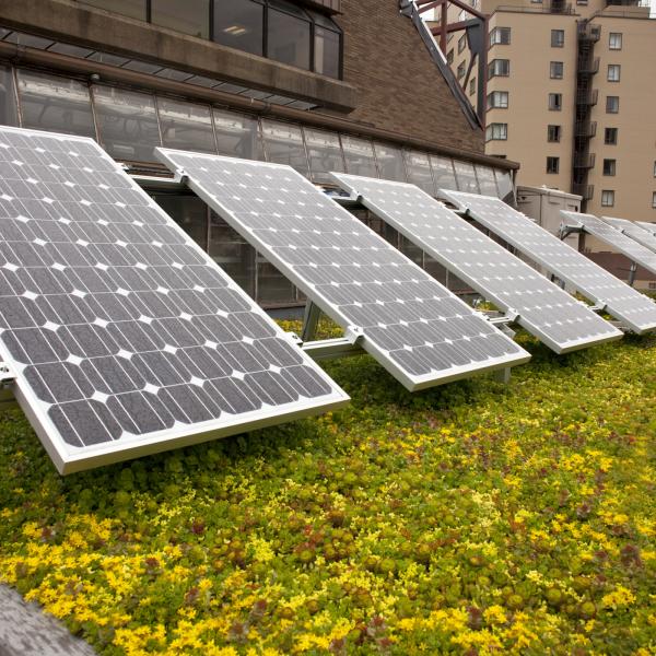 solar panels and a greenroof