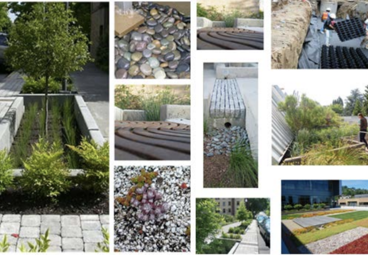 stormwater management solutions such as rain gardens 