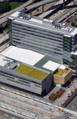 large building with green roof on southern roof exposure