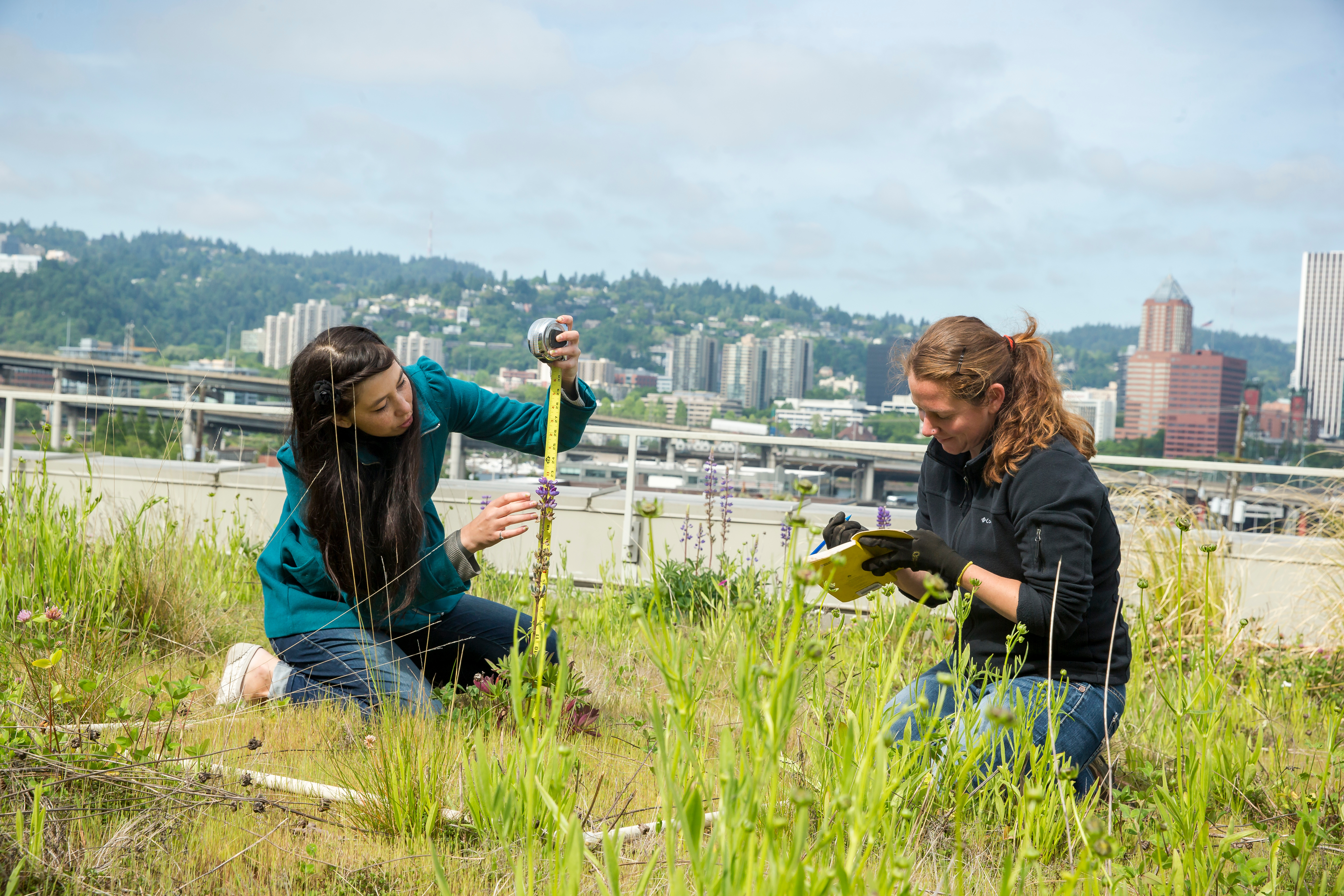 students working with plants in the city