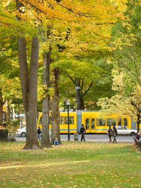 Photos of trees people and Portland streetcar in park blocks near PSU