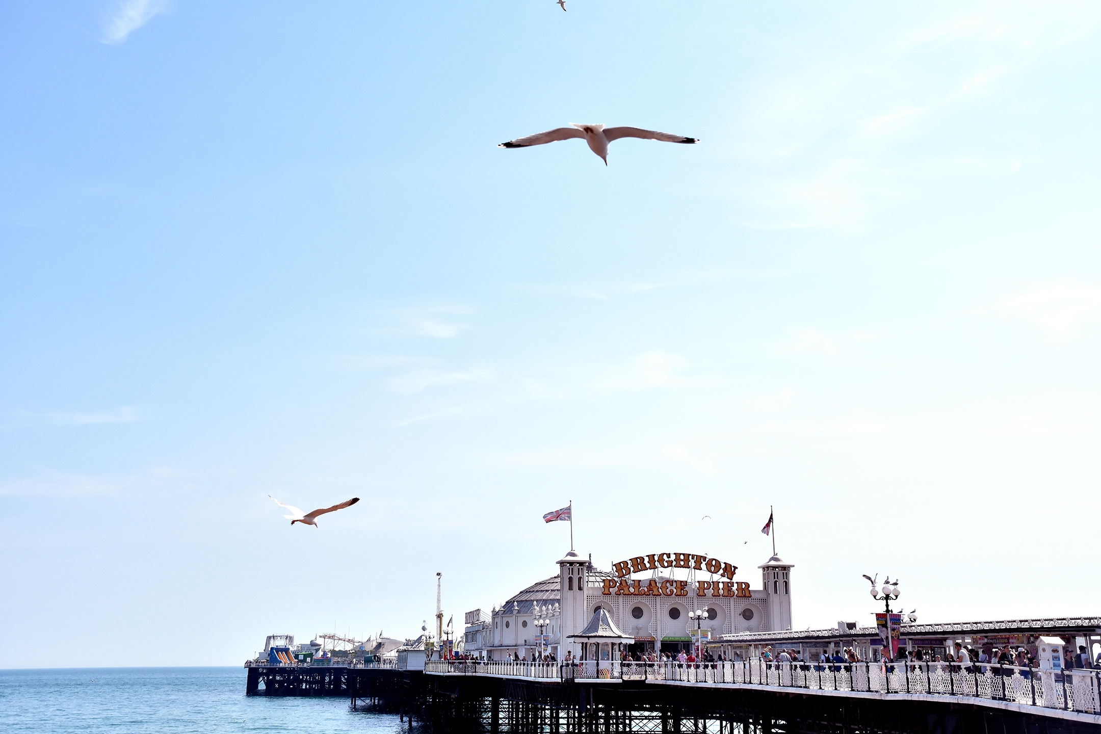 Seagulls flying over the Brighton pier in England