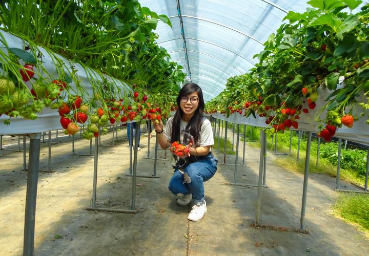 student in greenhouse in south korea