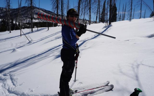 Kelly Gleason on skis holding snow samples