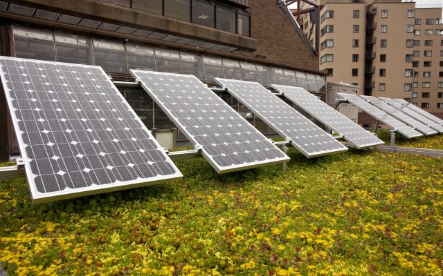 Solar panels on rooftop