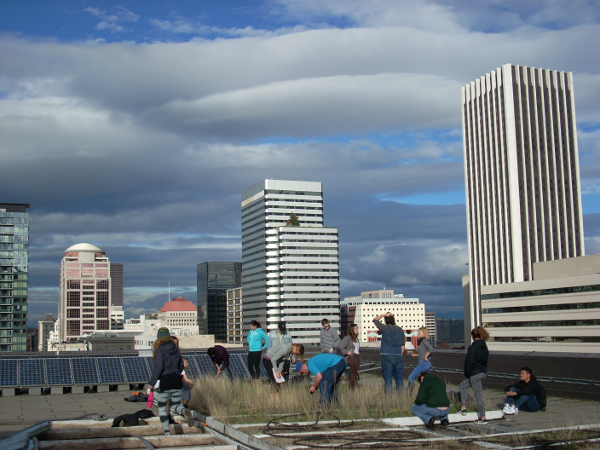Students working on top of an eco-roof with Portland's skyline in the background.