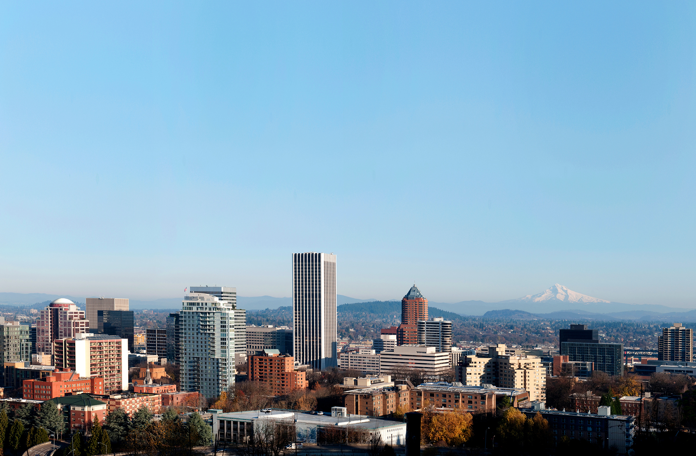 Portland skyline