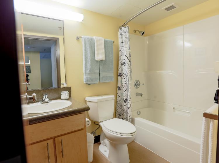 Bathroom with tub and shower in furnished one bedroom