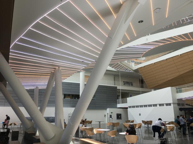 Interior of Robertson Life Sciences Building atrium. Surfaces of the ceiling and elevated walkways are covered in glowing fluorescent bars arranged in parallel or radiating lines.
