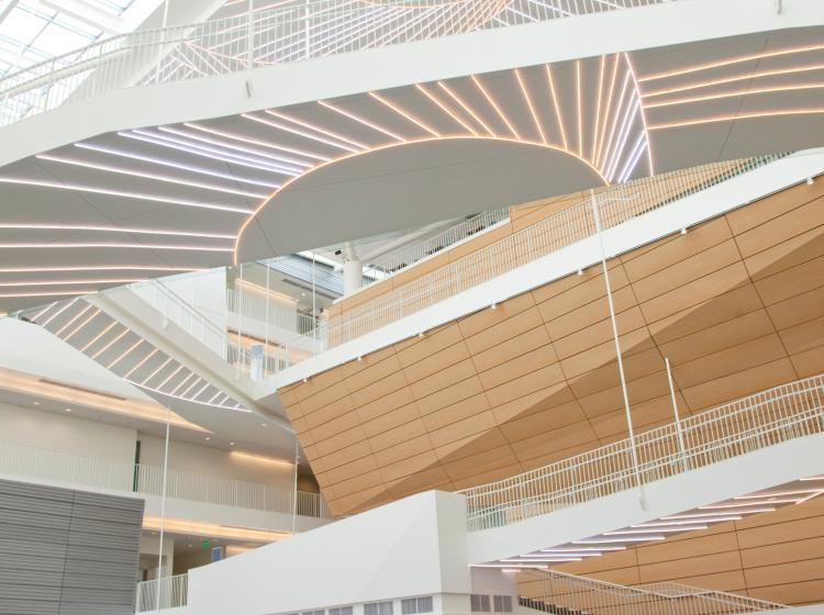 Interior of Robertson Life Sciences Building atrium. Surfaces of the ceiling and elevated walkways are covered in glowing fluorescent bars arranged in parallel or radiating lines.