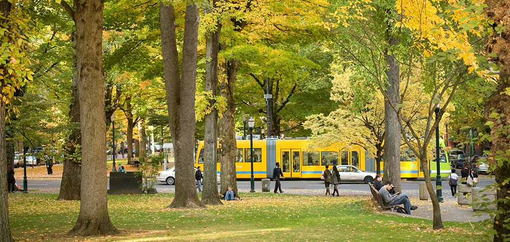 the Park Blocks at PSU in the Fall