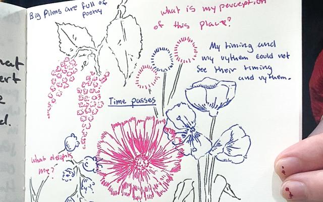 An image of a page of drawings by a student of flowers and written phrases including "What is my perception of this place?"