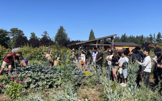 Students at Black Futures Farm