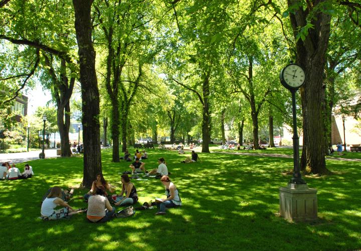 Students studying in the park blocks