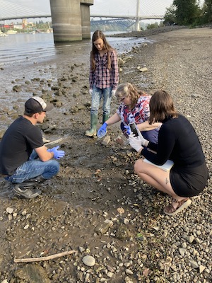 people crouched down and collecting samples with gloves near the river 