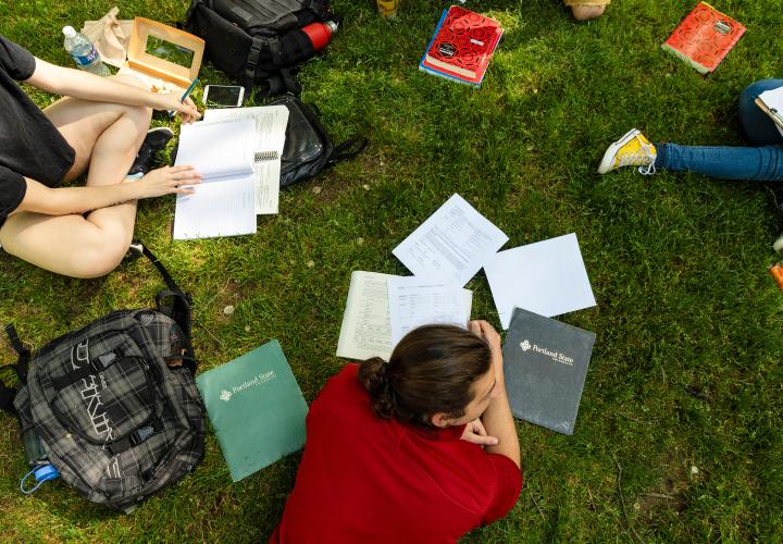 Students studying outside. 
